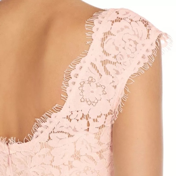 Eliza J Lace Faille Cap Sleeve Dress Lace Pink Blush Petite 12P 14P NWT Wedding - Picture 3 of 9